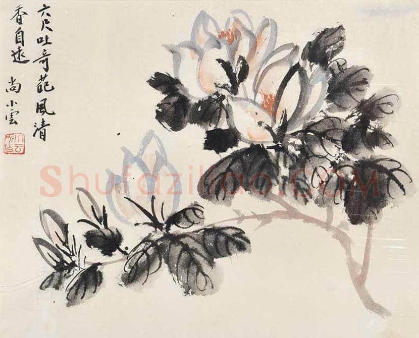 尚小云书画作品欣赏 | 书画讲解