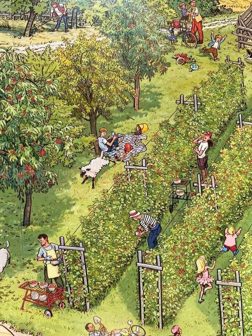 德国绘本插画师 Doro Göbel and Peter Knorr 作品欣赏 | 书画知识