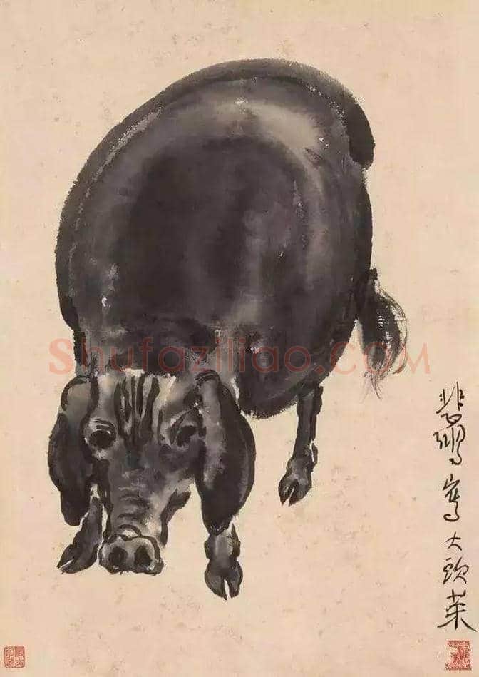 徐悲鸿画猪，难得一见 | 书画知识