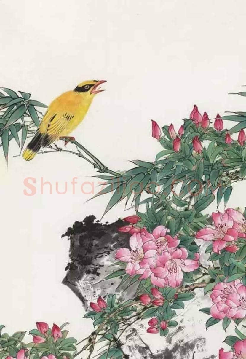 田世光花鸟画作品欣赏 | 书画科普