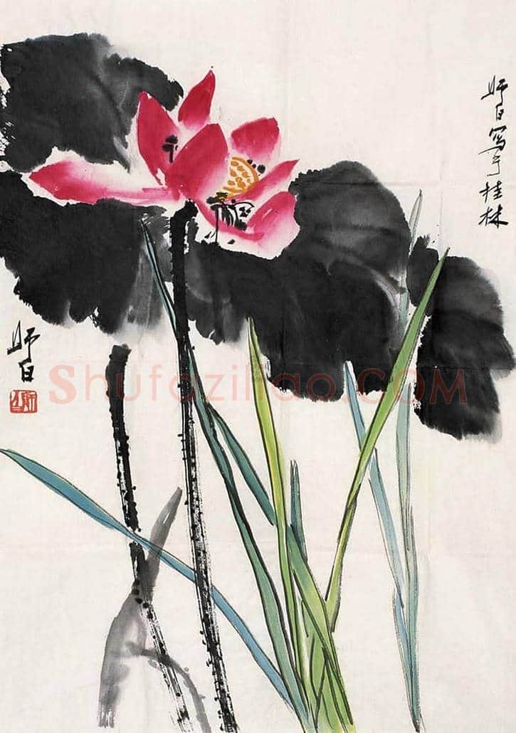 王雪涛娄师白荷花作品比较 | 书画学堂