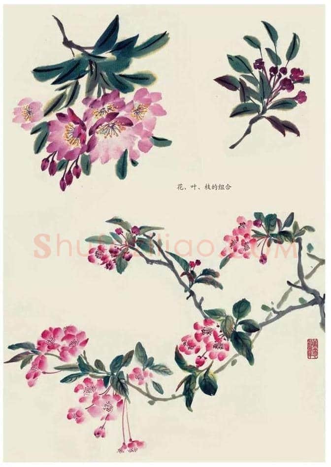 水墨花卉绘画的步骤教程！ | 书画科普