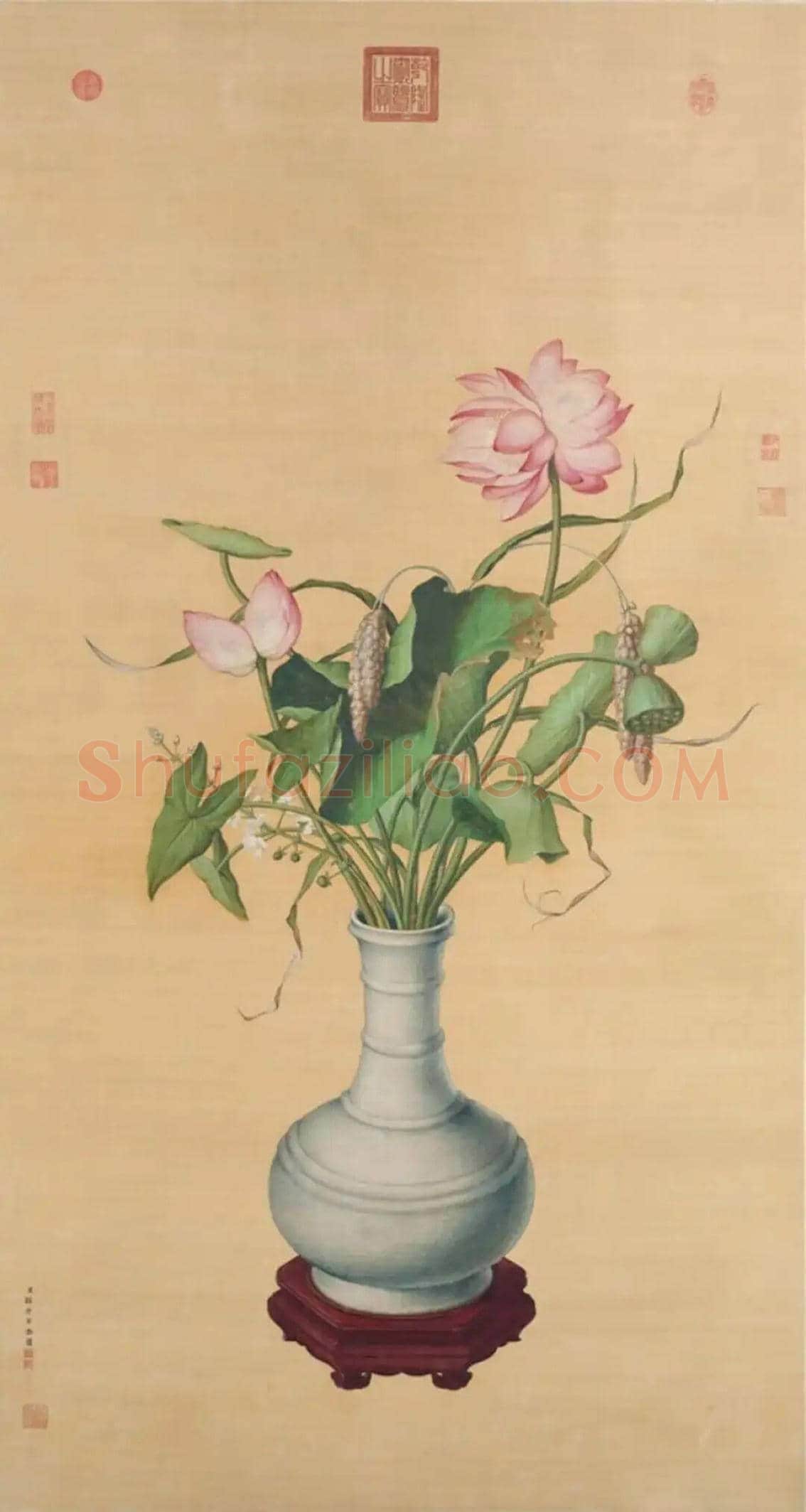 郎世宁绘《池莲双瑞》欣赏 | 书画讲解