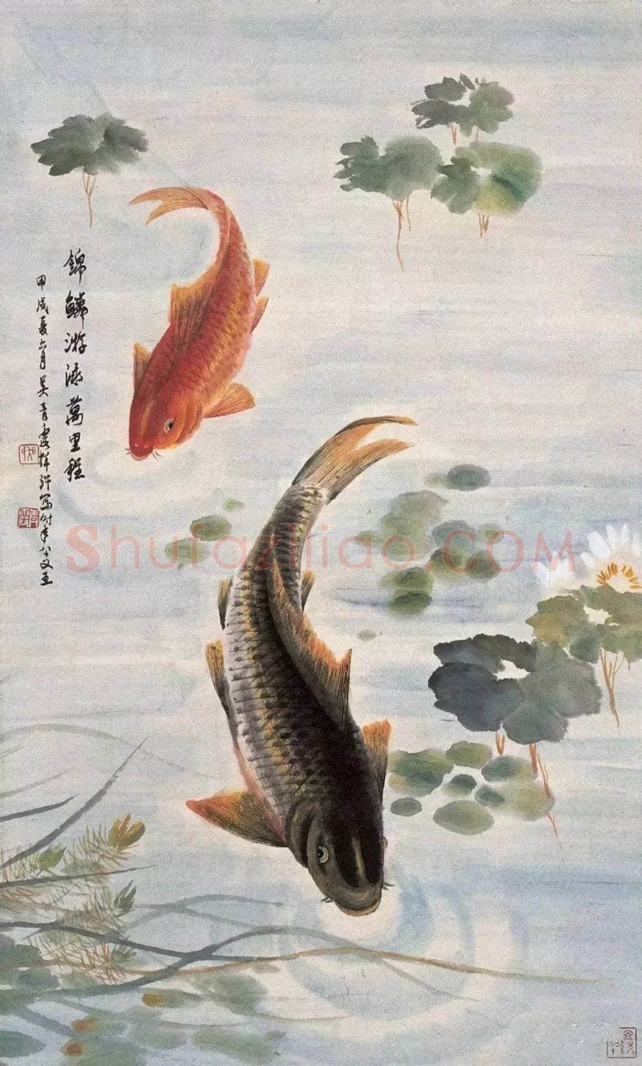 吴青霞鲤鱼作品欣赏 | 书画百科