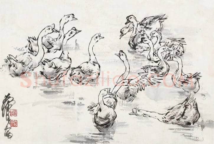 黄胄笔下的小动物,栩栩如生 | 书画常识