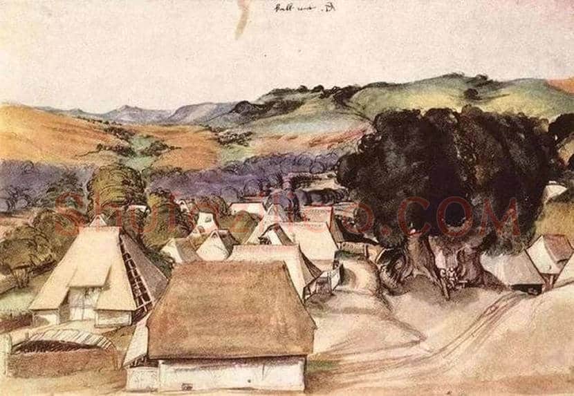 丢勒水彩画《一大块草皮》欣赏 | 书画学堂