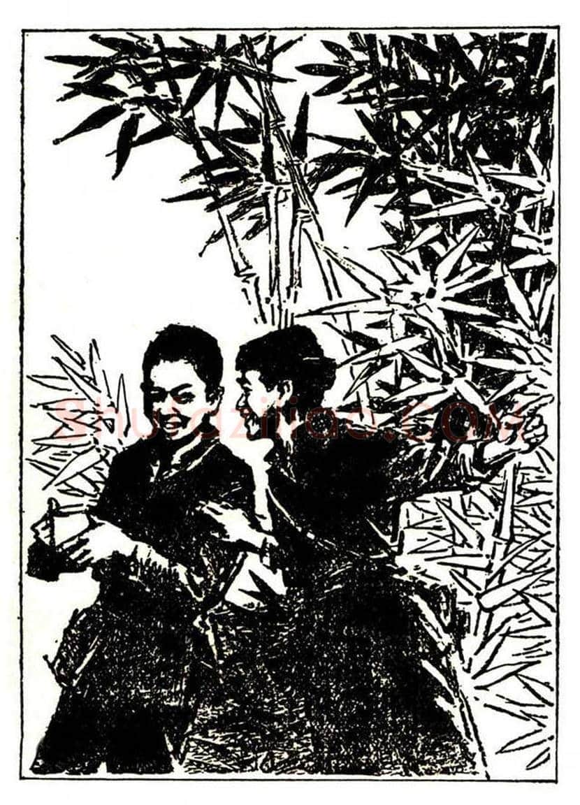 红色画家董辰生的插图作品欣赏 | 书画学堂