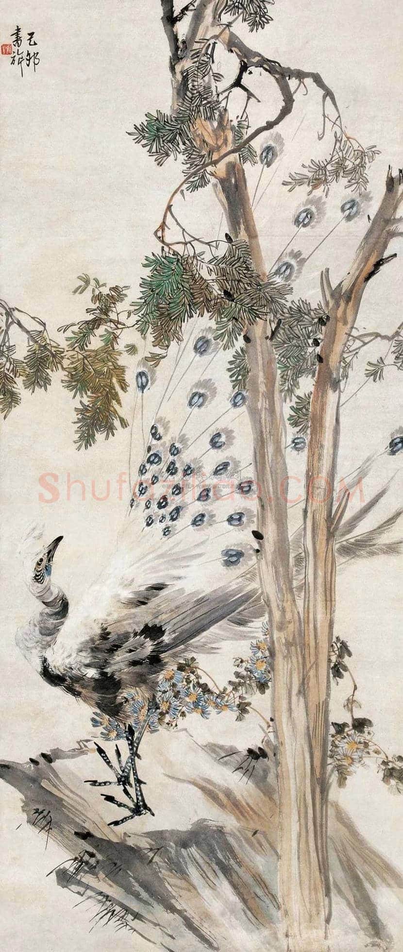张书旂花鸟画作品欣赏 | 书画讲解