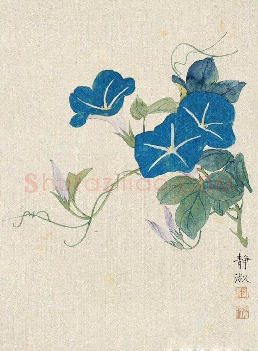 潘静淑作品欣赏 | 书画知识