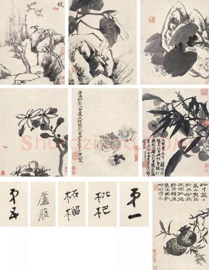 张大千旧藏！八大、石涛的合作之作《杂画册》 | 书画百科