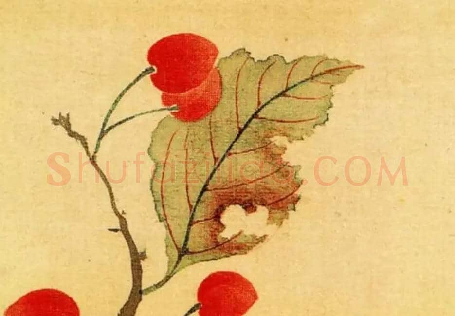 恽寿平《秋海棠图》欣赏 | 书画资料