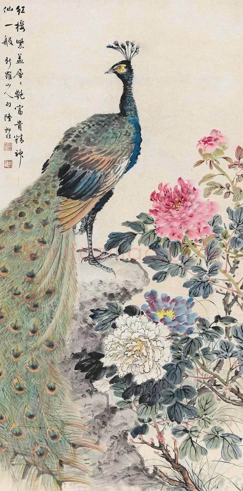陆抑非孔雀作品欣赏 | 书画常识