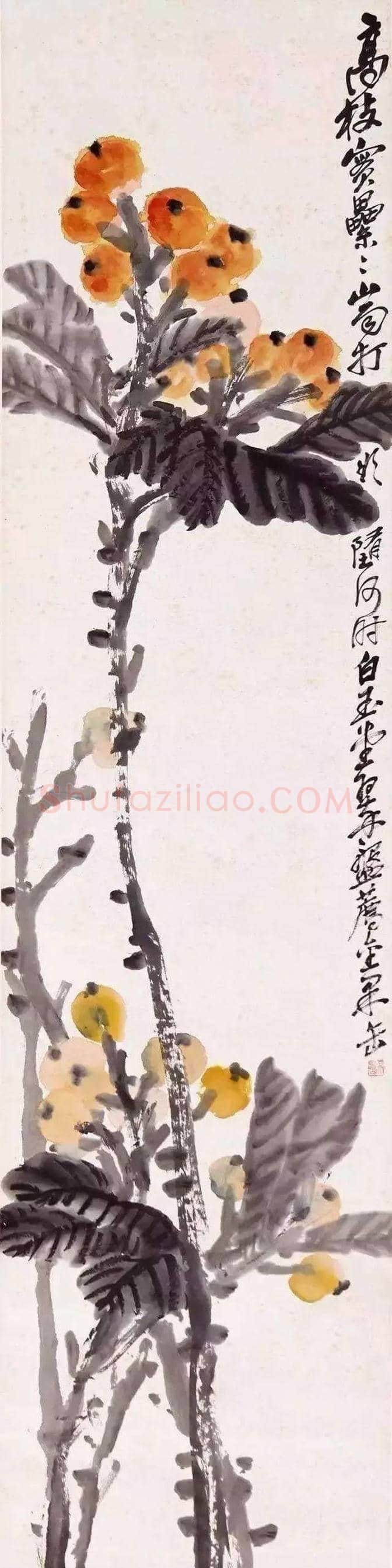 吴昌硕等三位大师画笔下的枇杷 | 书画讲解