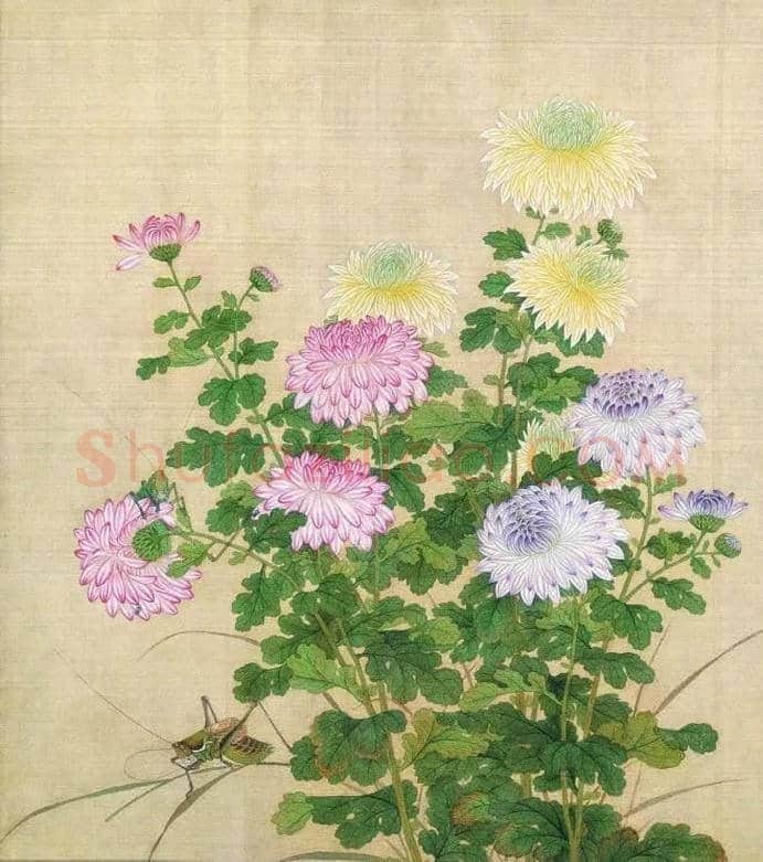 古代经典花鸟名画欣赏 | 书画常识