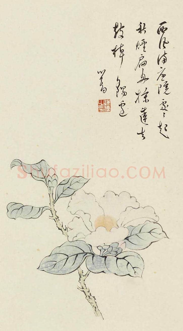 溥儒花卉作品欣赏 | 书画知识