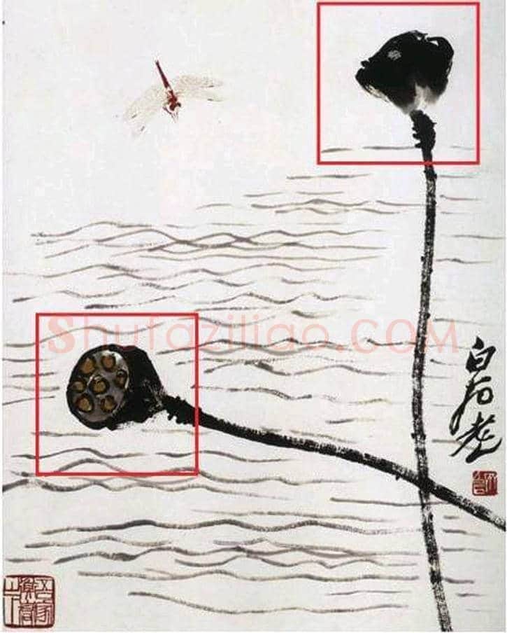 齐白石《蜻蜓莲蓬》真伪鉴别 | 书画常识