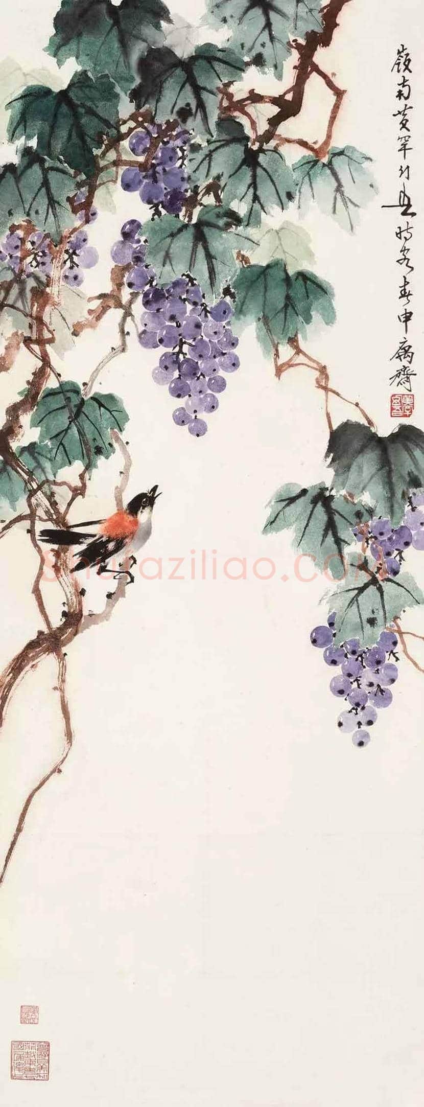 黄幻吾笔下的葡萄小鸟 | 书画常识