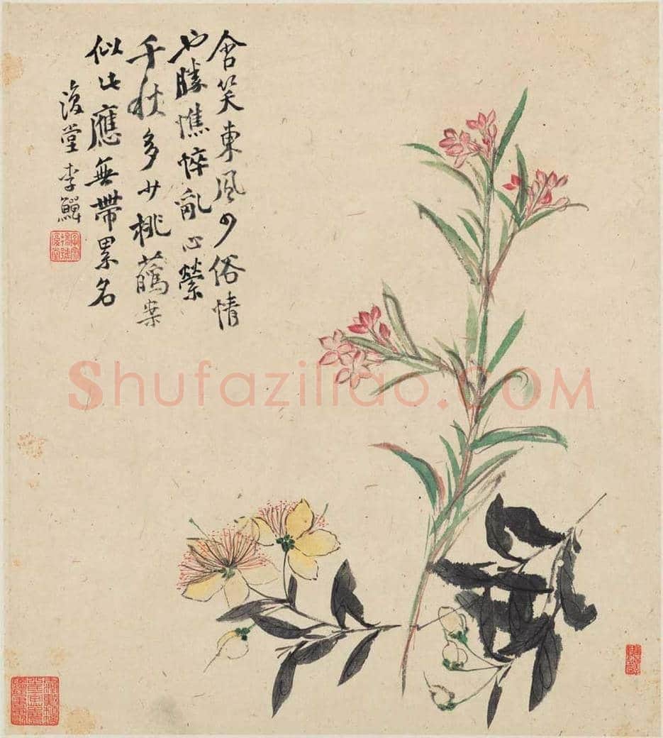 李鱓花鸟册页欣赏 | 书画讲解