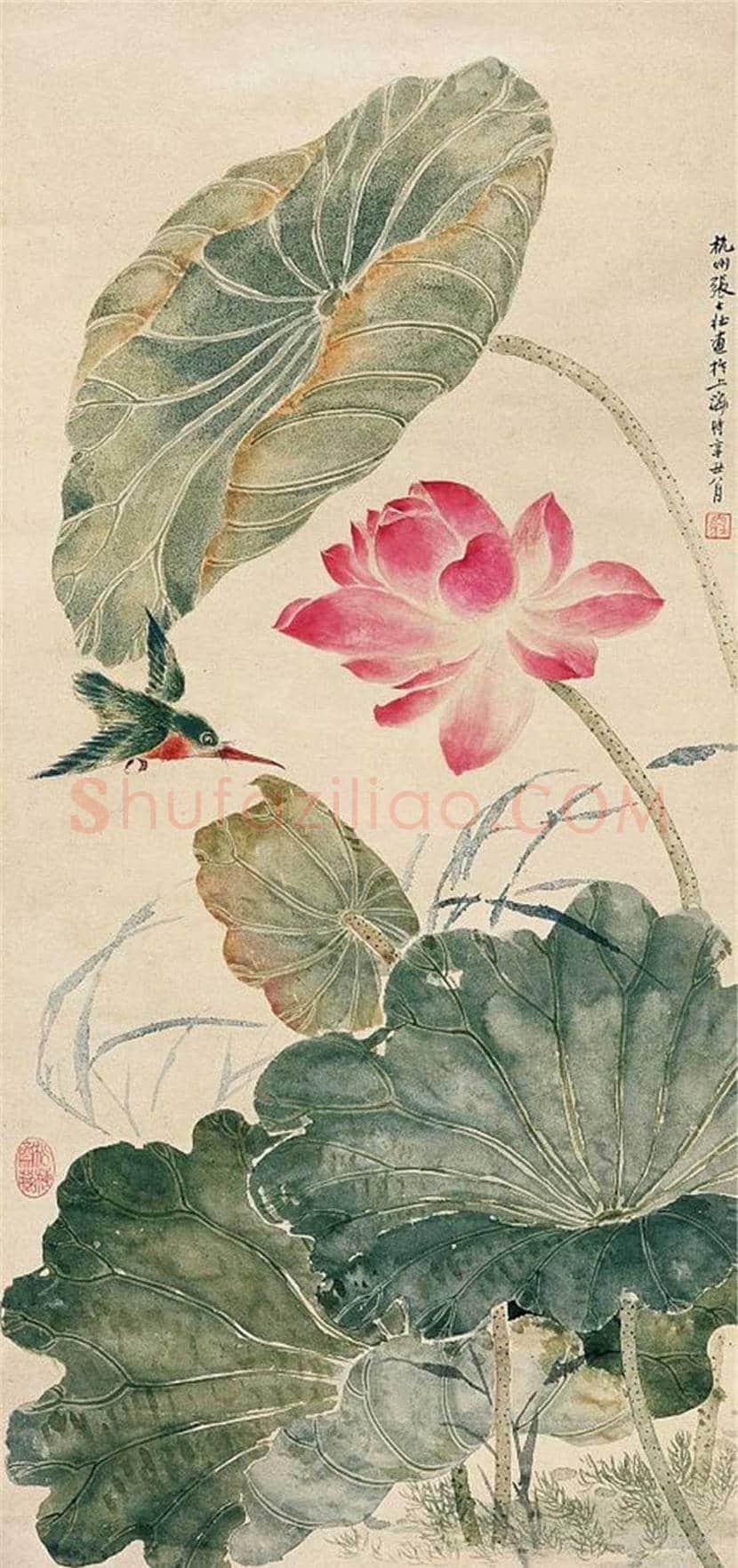 张大壮花鸟画作品欣赏 | 书画文摘