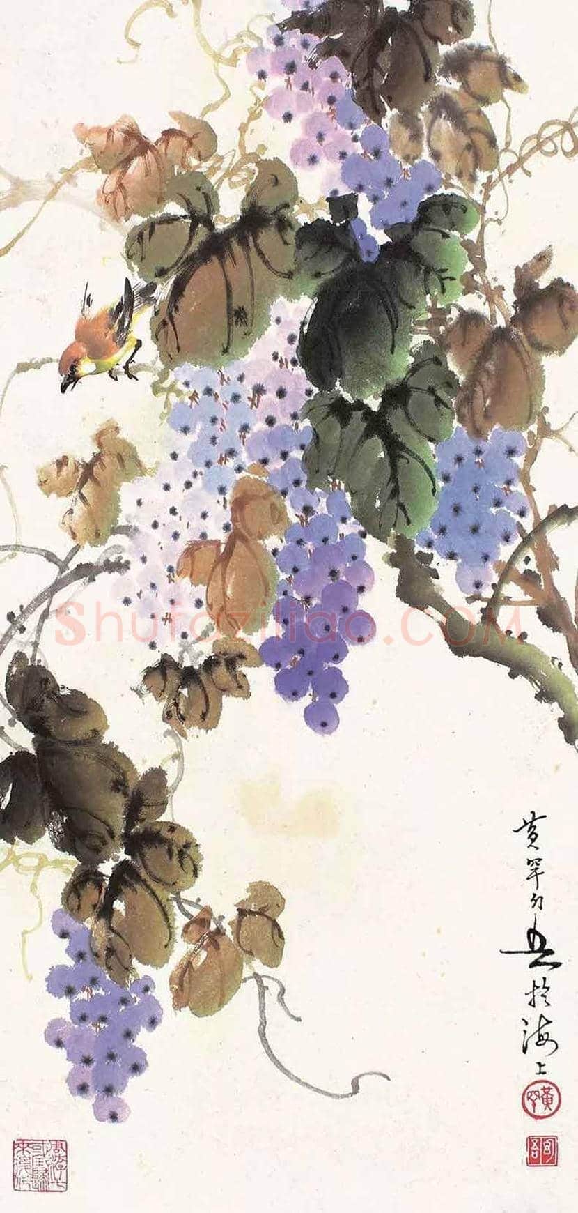 黄幻吾笔下的葡萄小鸟 | 书画常识