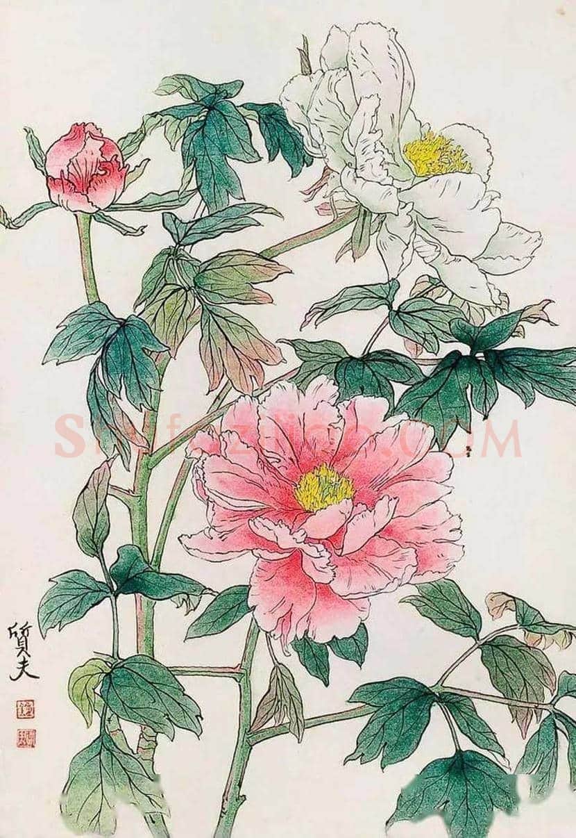 钟质夫花鸟画作品欣赏 | 书画文摘