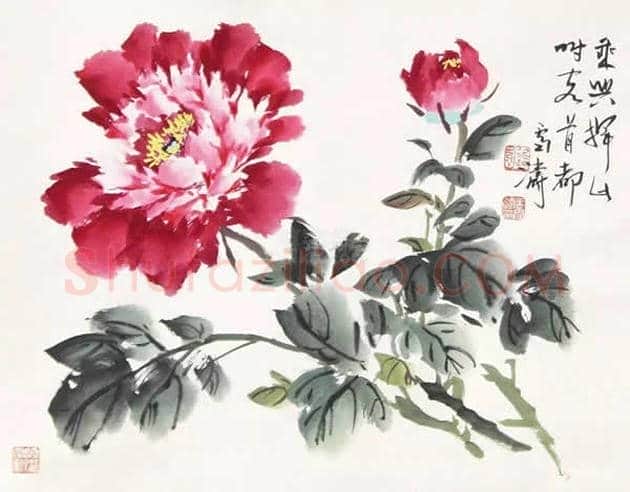 王雪涛国画牡丹欣赏 | 书画学堂