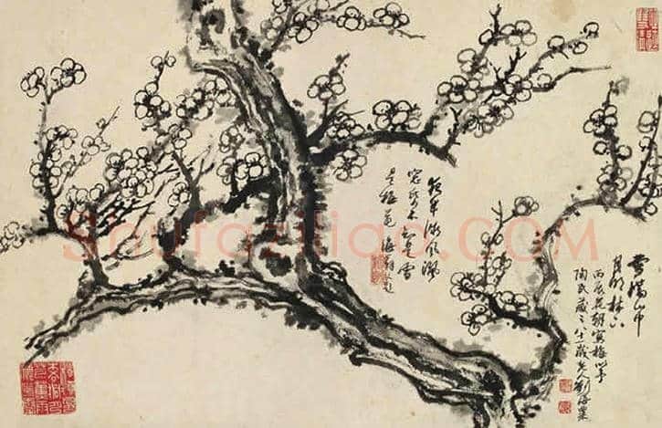 刘海粟梅花图欣赏 | 书画知识