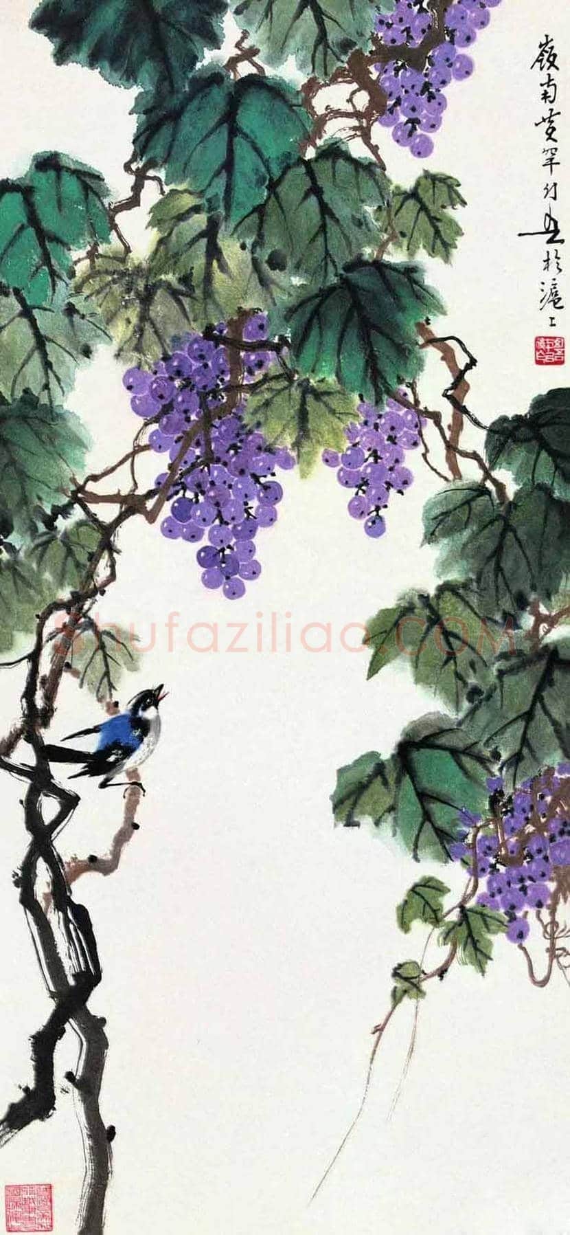 黄幻吾笔下的葡萄小鸟 | 书画常识