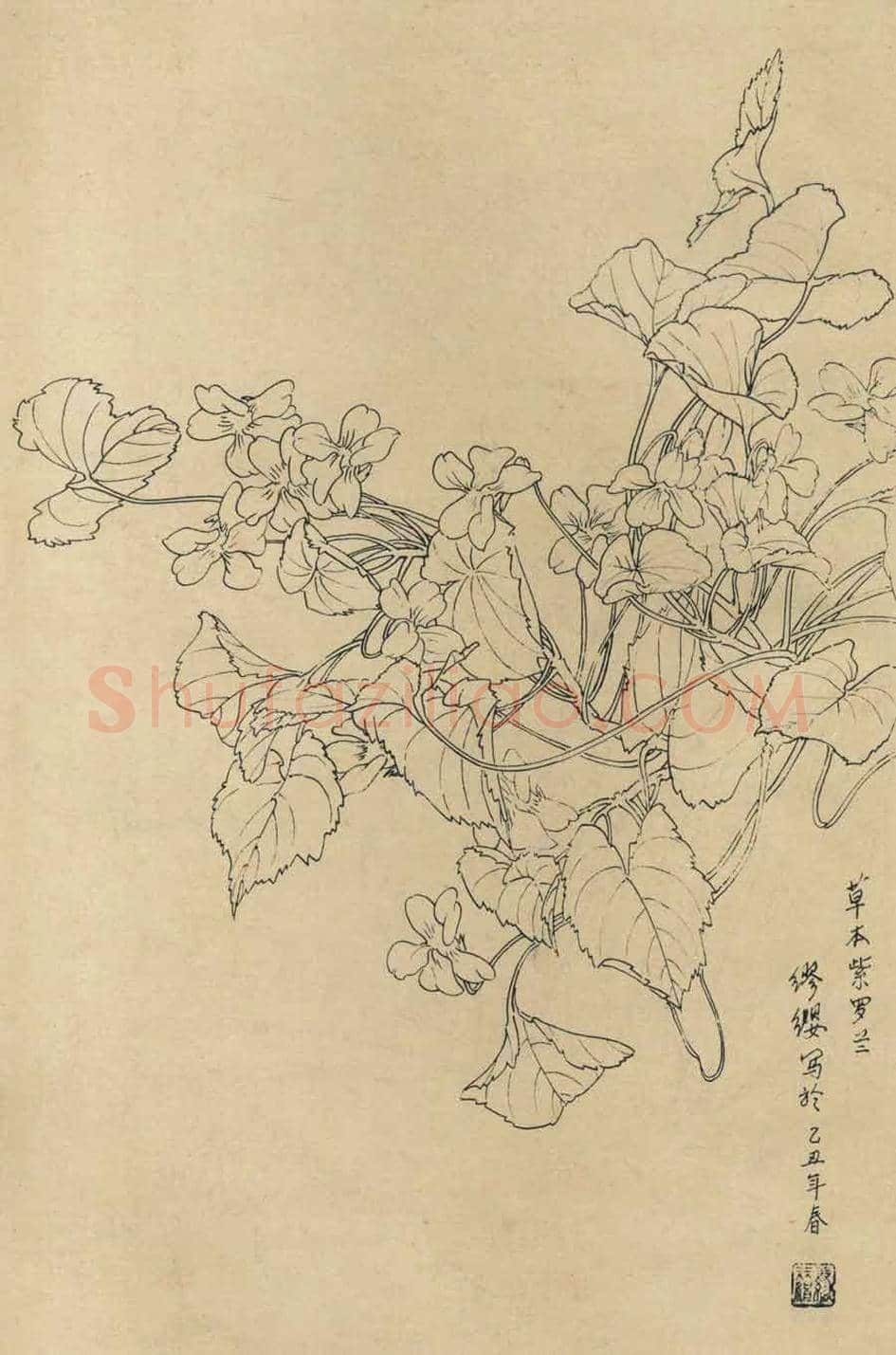 百花图谱大全【白描画】 | 书画资料