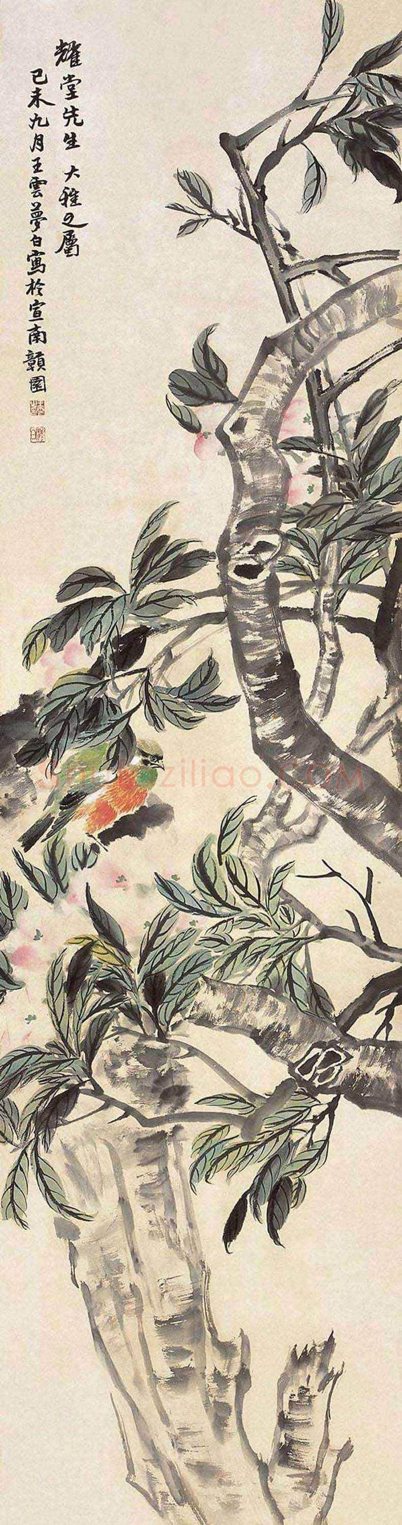 王梦白花鸟画作品欣赏 | 书画讲解
