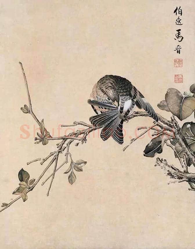 郎世宁:见证大清帝国的强盛 | 书画学堂