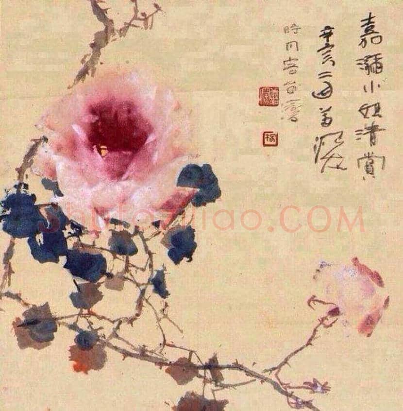 杨善深花鸟画作品欣赏 | 书画讲解