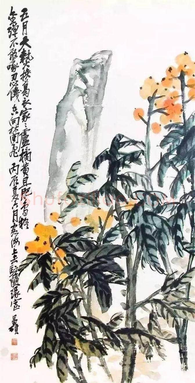 吴昌硕等三位大师画笔下的枇杷 | 书画讲解