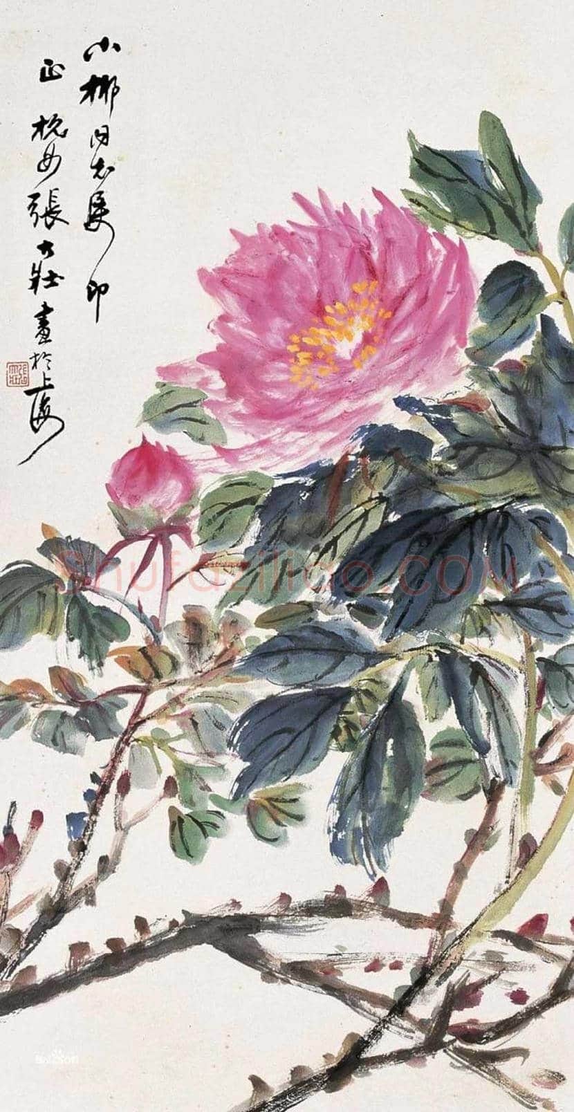 张大壮花鸟画作品欣赏 | 书画文摘