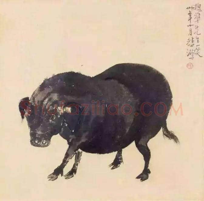 徐悲鸿画猪，难得一见 | 书画知识