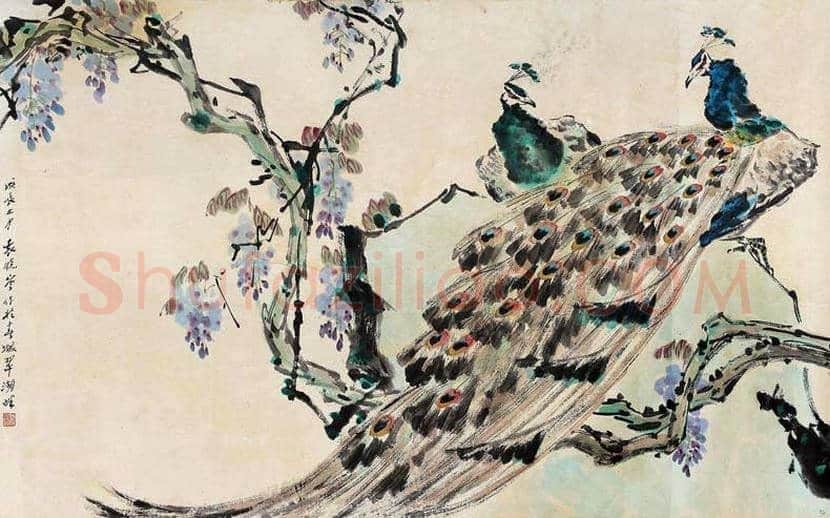 袁晓岑孔雀作品欣赏 | 书画百科