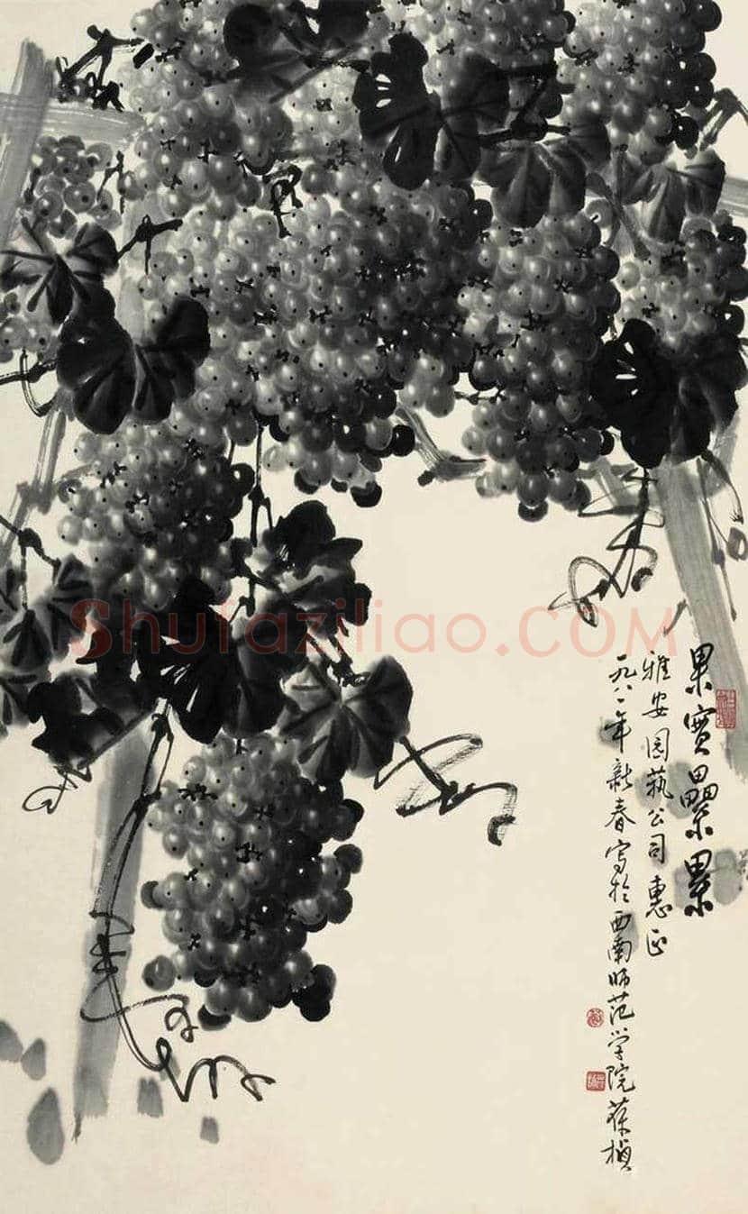 苏葆桢国画葡萄欣赏 | 书画知识