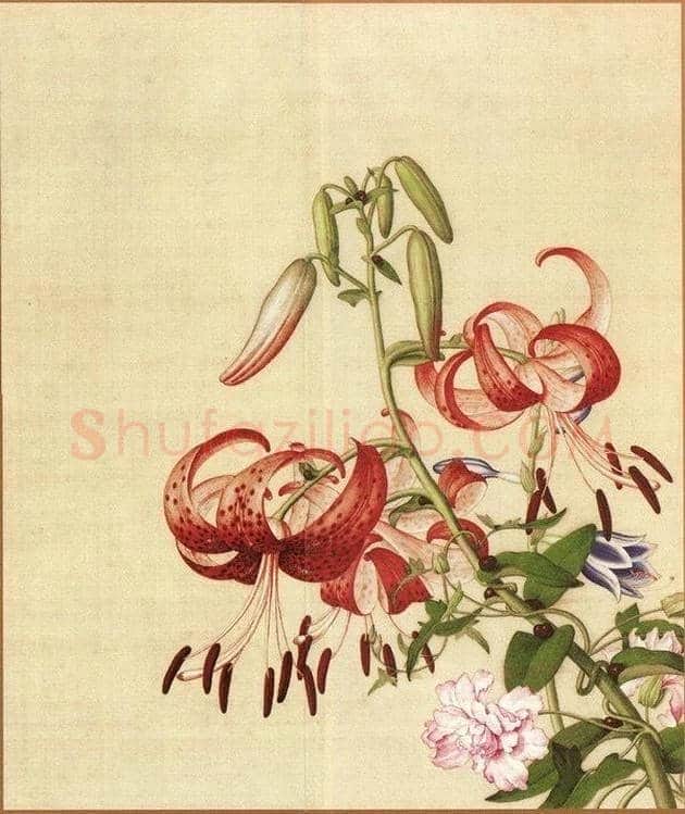 郎世宁笔下的中国花鸟 | 书画知识