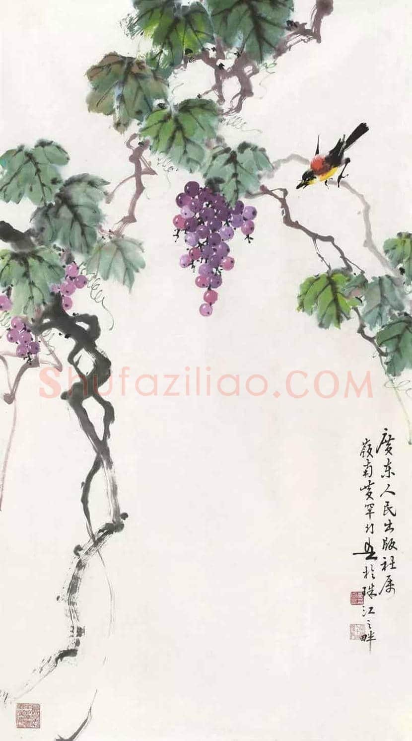 黄幻吾笔下的葡萄小鸟 | 书画常识