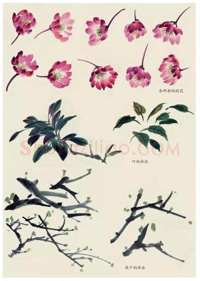 水墨花卉绘画的步骤教程！ | 书画科普