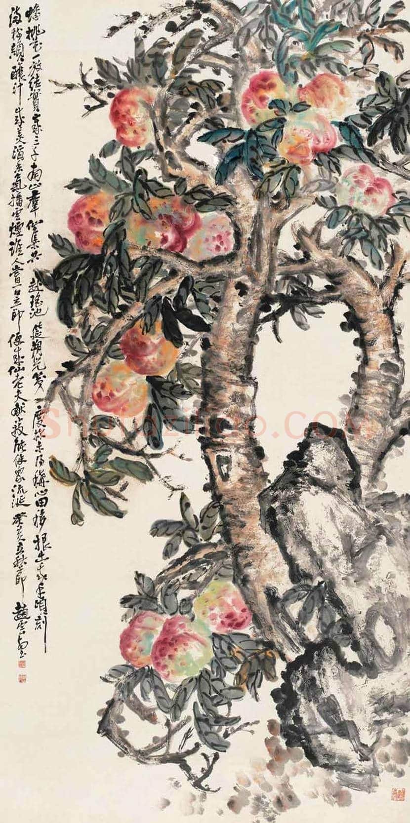 赵云壑花鸟画欣赏 | 书画资料