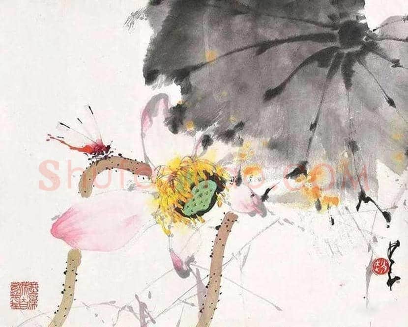 赵少昂的夏日荷塘，美！ | 书画资料