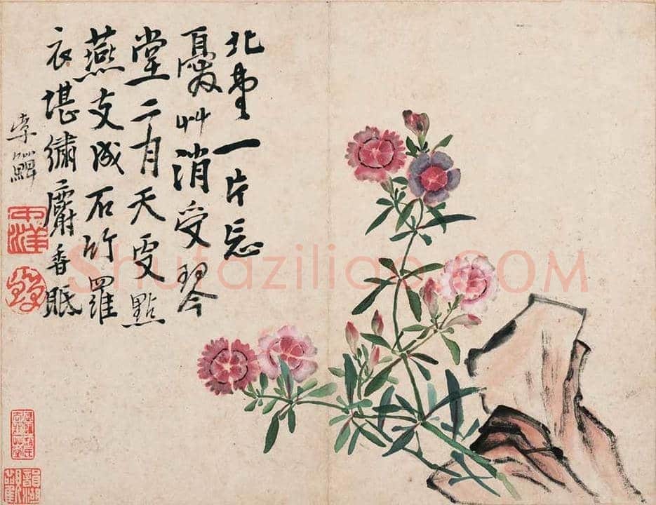 李鱓花鸟册页欣赏 | 书画讲解