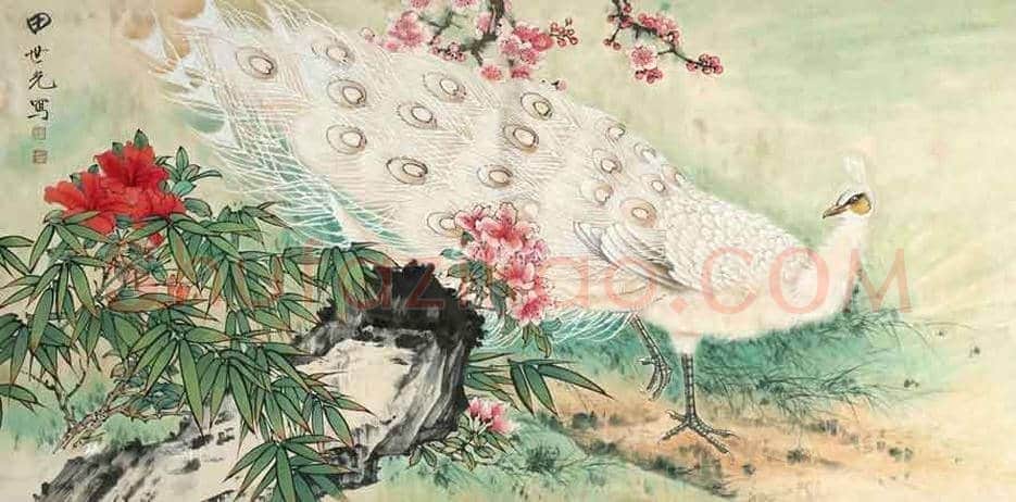 田世光笔下的孔雀，栩栩如生，仙气十足！ | 书画文摘