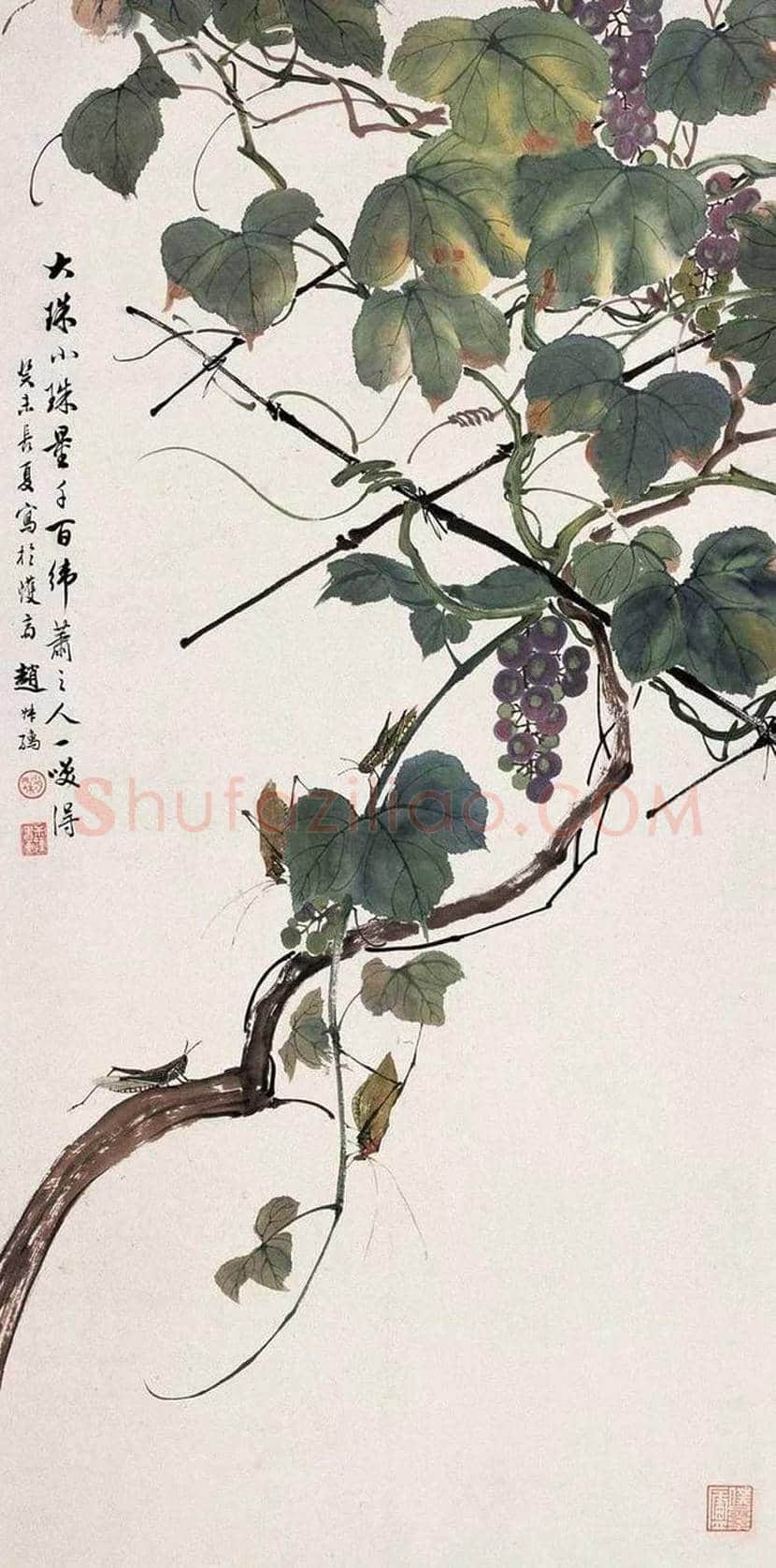 赵叔孺花鸟画欣赏 | 书画科普