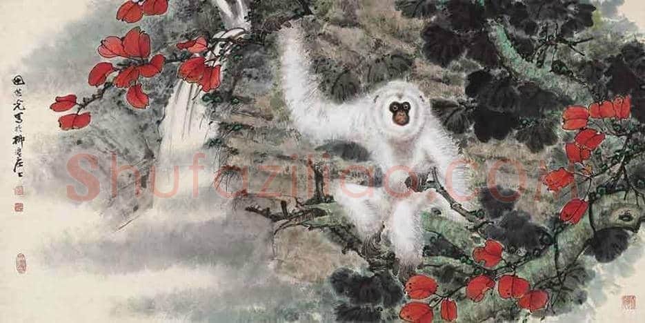 田世光猿猴作品精选 | 书画文摘