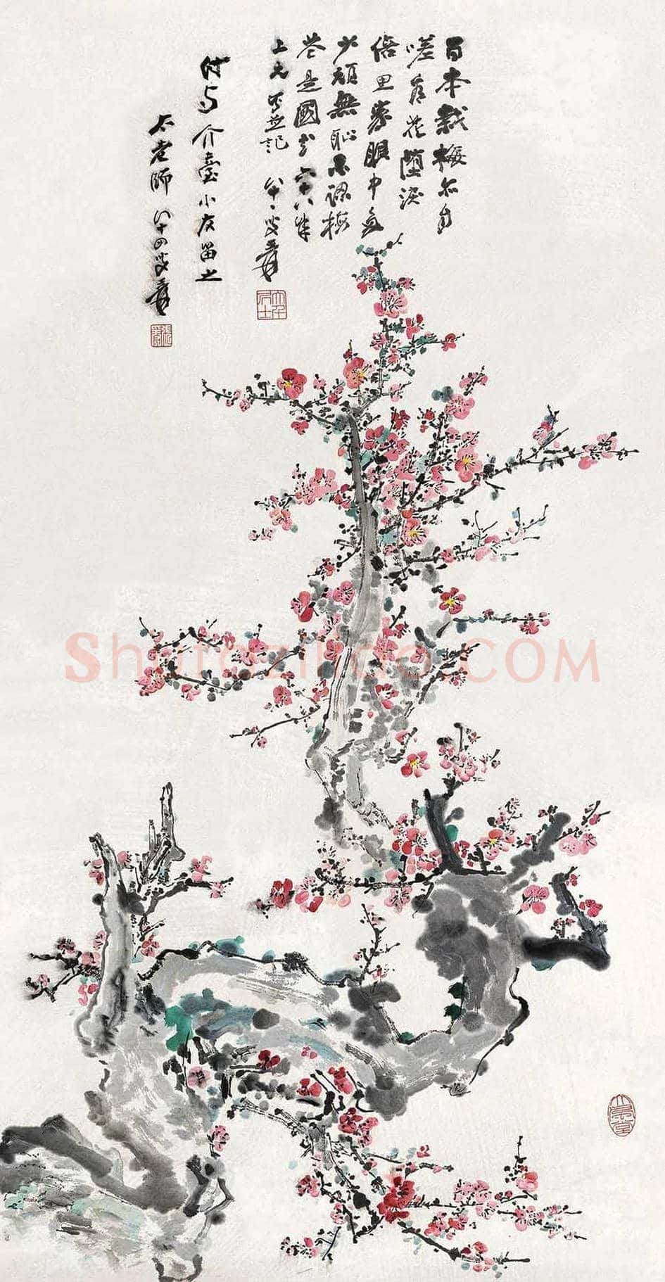 名家笔下的梅花伴您过大年！ | 书画常识