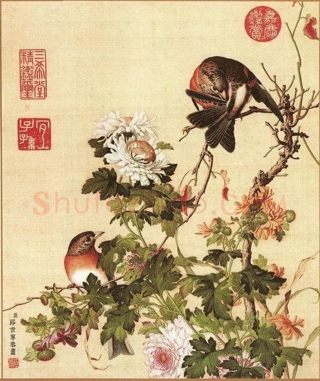 郎世宁笔下的中国花鸟 | 书画知识