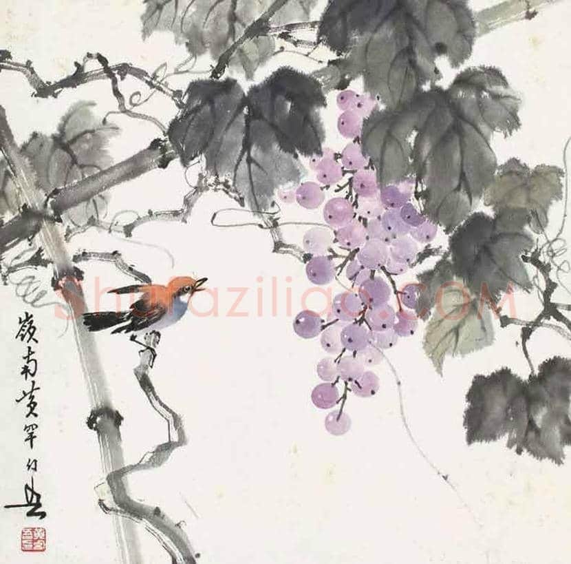 黄幻吾笔下的葡萄小鸟 | 书画常识