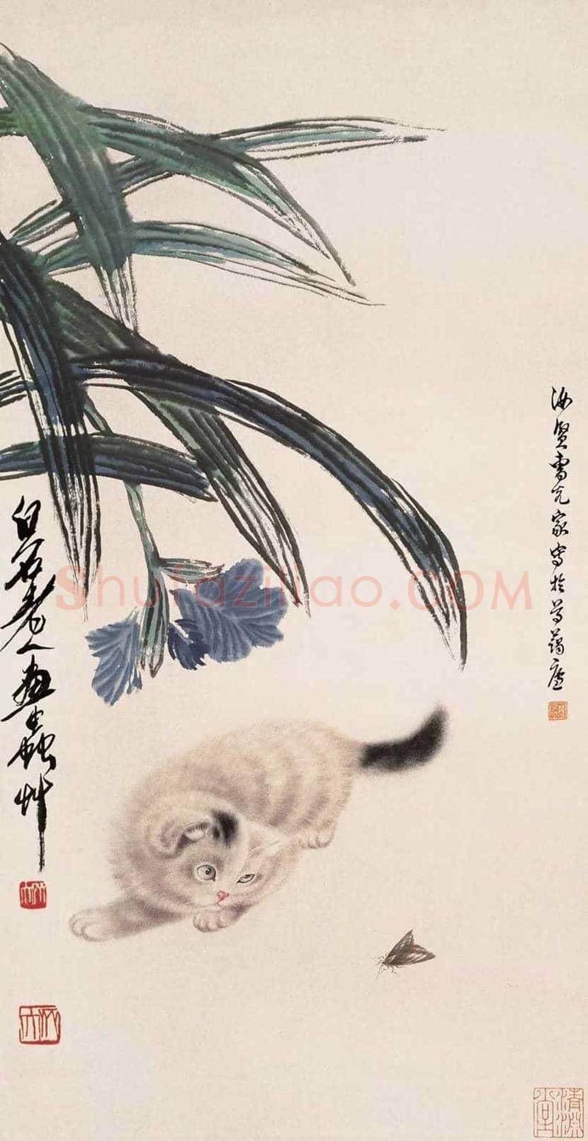 曹克家画猫作品欣赏 | 书画学堂